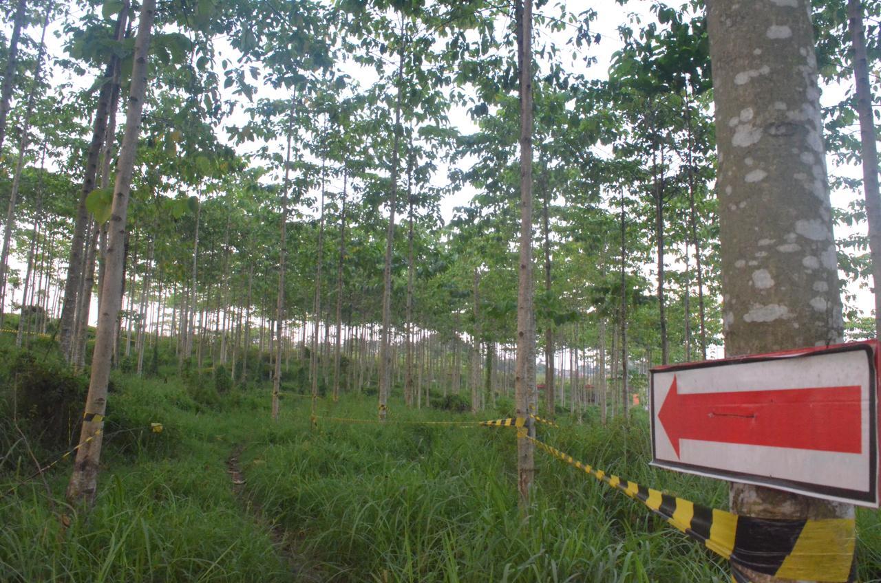 Ibis Budget Cikarang Festival Bekasi Eksteriør bilde